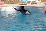 IMGP2030.JPG